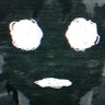 cutphish's profile picture