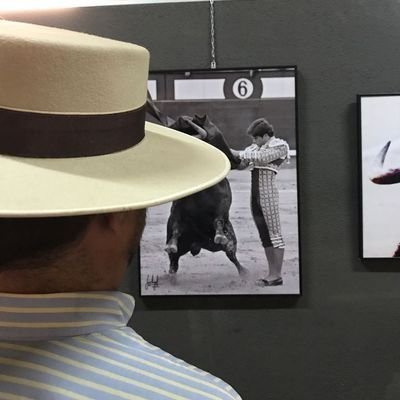 Alfonso Ibarra's profile picture