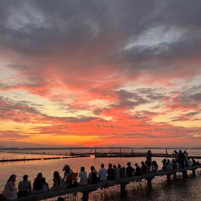 出轨的轨's profile picture