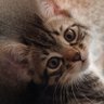 Harun profil fotoğrafı