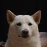 Profilbild von Lem'R