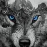 Фото профиля Wolf234