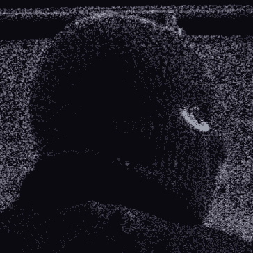 𝙉𝙞𝙛's profile picture