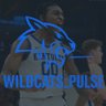 Wildcats Pulse 🫢🫳🏽 的头像