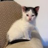 Kails's profile picture