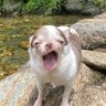 ItsFlizzy's profile picture