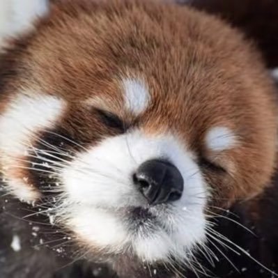 nini's profile picture
