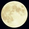 moon_light_ profil fotoğrafı