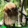 ペポカボチャ profil fotoğrafı