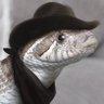 Profilbild von Cthulhu