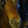 Big Man of WA's profile picture