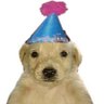 bowen's profile picture