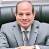 Profilbild von sayed Elsharkawy