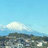 議員天国_日本 profil fotoğrafı