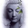 Comtesse Zorka 的头像