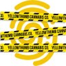 Yellowthumb's profile picture