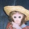 Profilbild von Chips