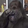 me's profile picture