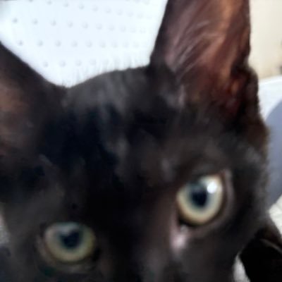 어둠의 ,, 딥 ㅅㅏ ..'s profile picture
