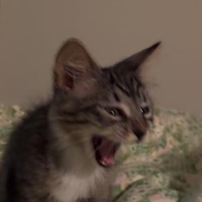 PSrobotics's profile picture