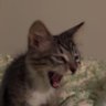 bot_69i75j31's profile picture
