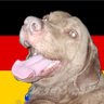 Yammo27 ็ๅคดๅ