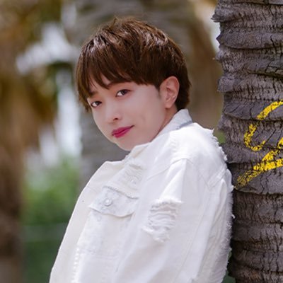 maki_mi6's profile picture