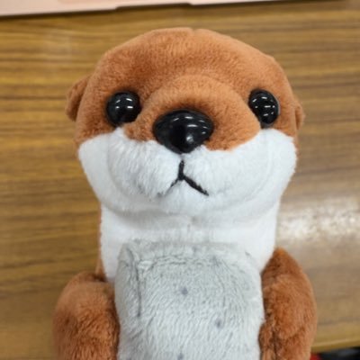 カワウソウ太郎🦦's profile picture