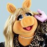 littlehomo123's profile picture