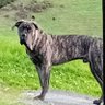 Jed Clam ped profil fotoğrafı