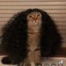 fe's profile picture