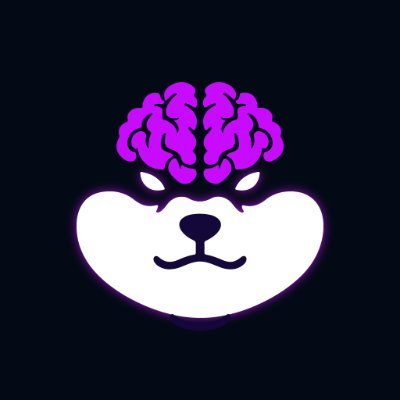 0xdogebrains's profile picture
