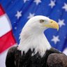 Фото профиля Bearded Patriot