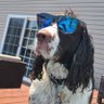 PorkChop38's profile picture