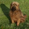 Profilbild von Heike Klarname