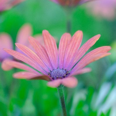 keiki_music's profile picture