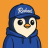 Profilbild von raheel 🟦