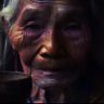 Profilbild von William Renshaw