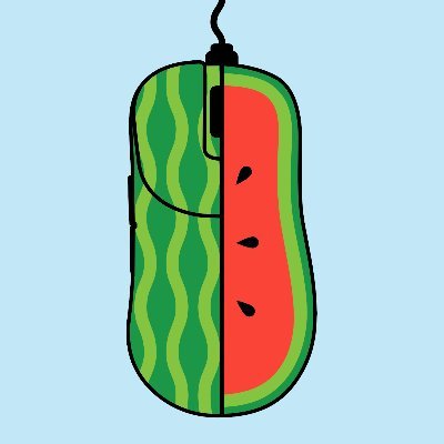 mel0nFPS's profile picture