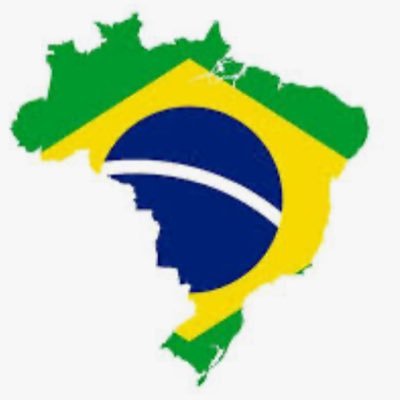 brazilnofoco's profile picture