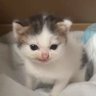 Daodao's profile picture