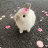 Фото профиля NaNa🥰