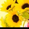 Фото профиля 花2🌻