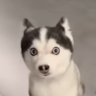べんごし ทแนะทนัย ⚖️ profil fotoğrafı