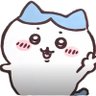 Yinyin's profile picture