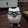 成分复杂 profil fotoğrafı