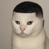 Profilbild von AI Cat With Ears
