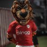 Profilbild von Tigrão_Malvadão