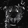 โ
's profile picture