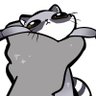 Raka🦝🗑️'s profile picture